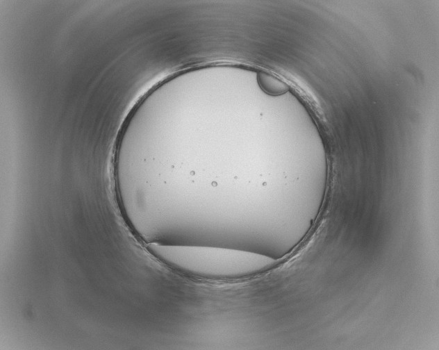 X0000115831190200912111306