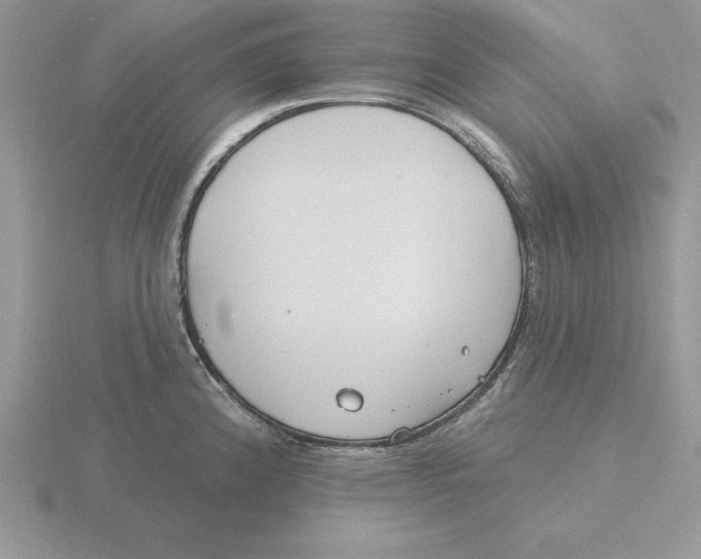 X0000115831192200912111306