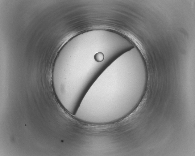 X0000115831193200912111306