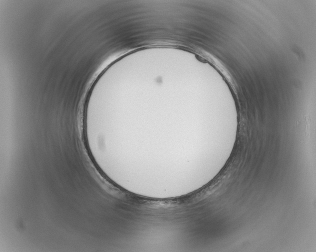 X0000115831195200912111306