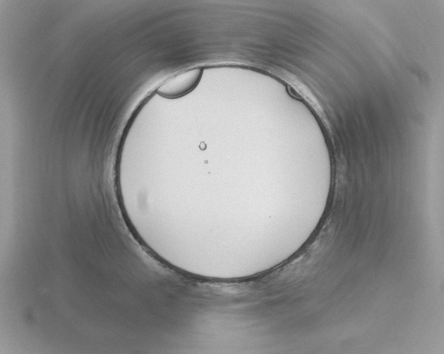 X0000115831197200912111306