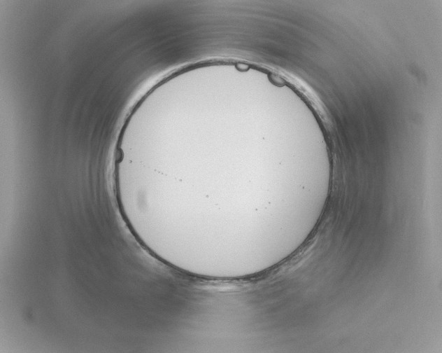 X0000115831199200912111306