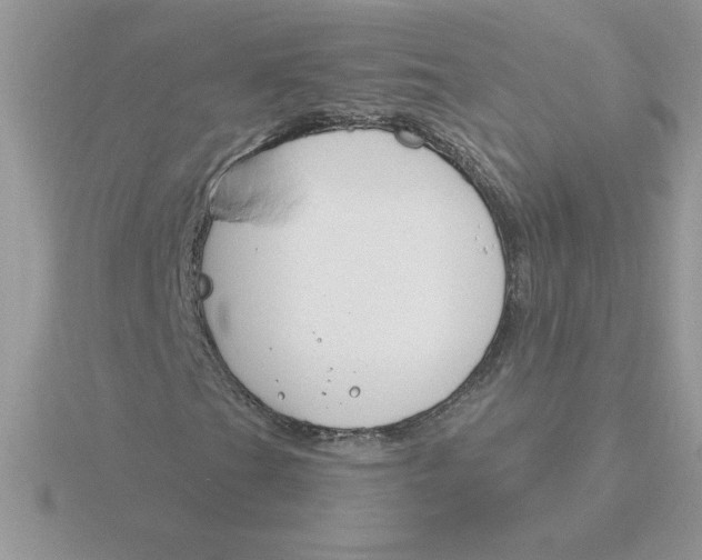 X0000115831201200912111305