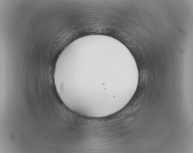 X0000115831202200912111305