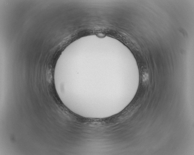 X0000115831204200912111305