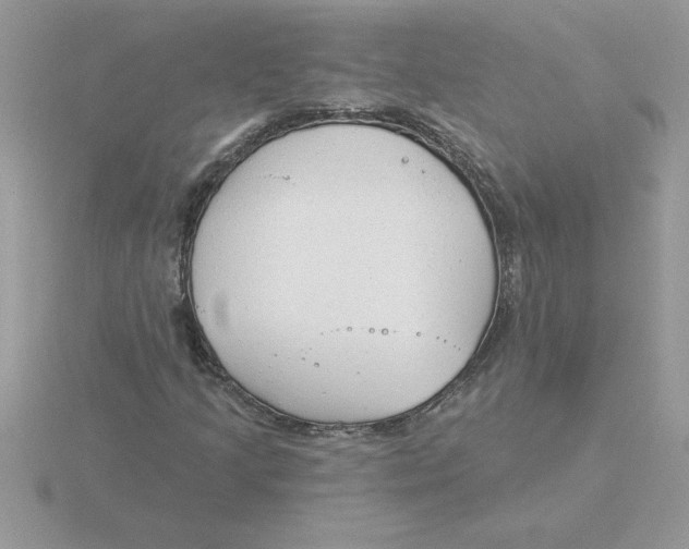 X0000115831205200912111305