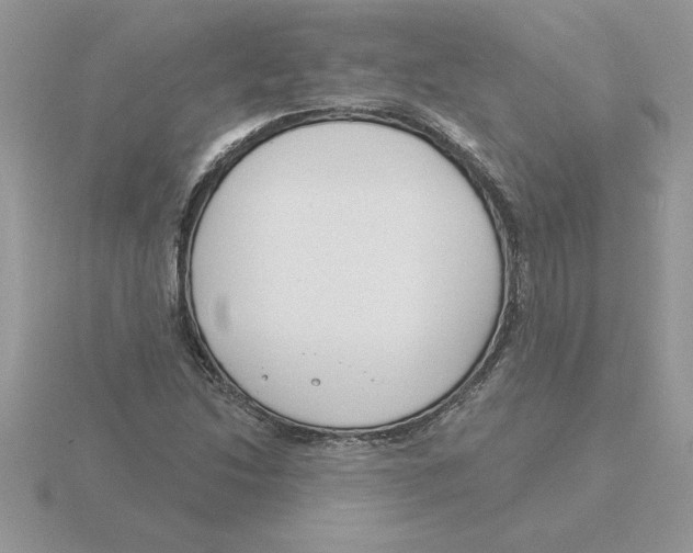 X0000115831214200912111305