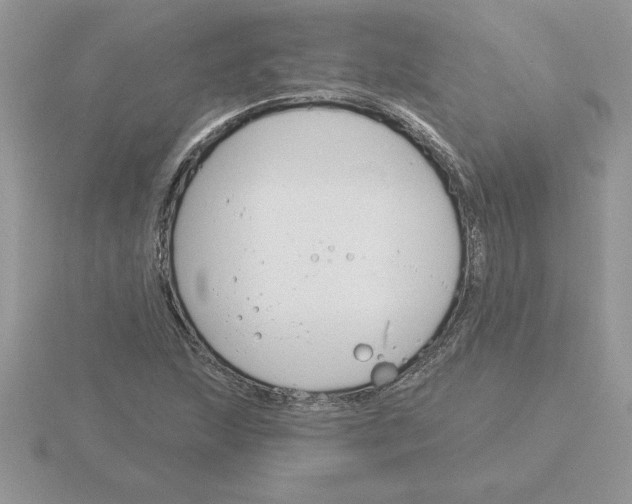 X0000115831215200912111305