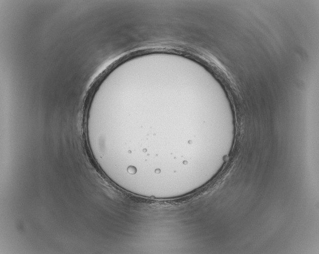 X0000115831216200912111305