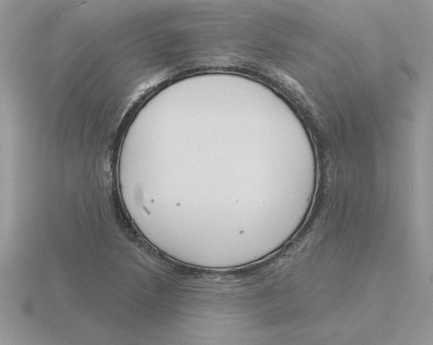 X0000115831218200912111305