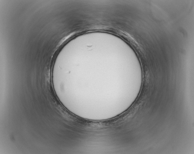 X0000115831220200912111305