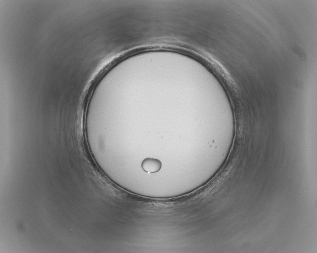 X0000115831224200912111305