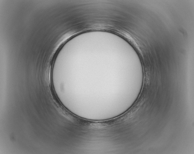 X0000115831227200912111305