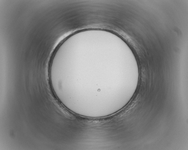 X0000115831230200912111306