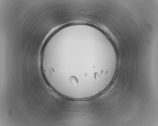 X0000115831232200912111306