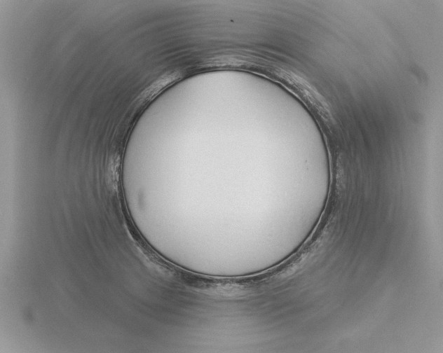 X0000115831233200912111306