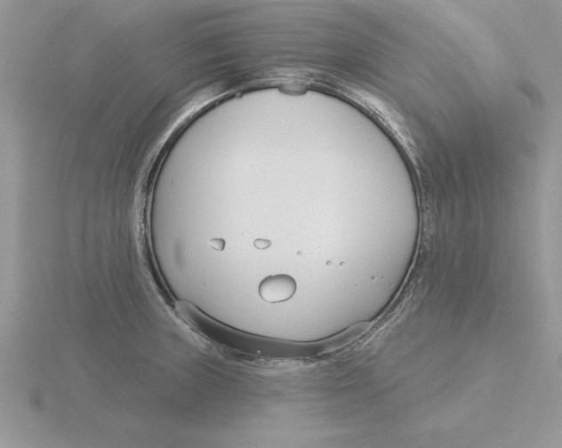 X0000115831235200912111306