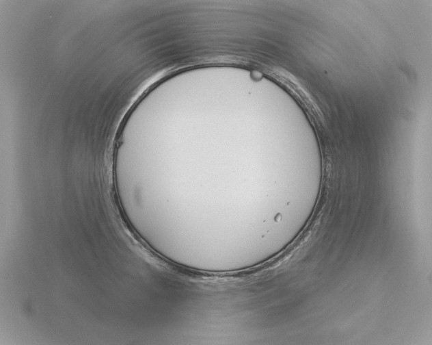 X0000115831236200912111306