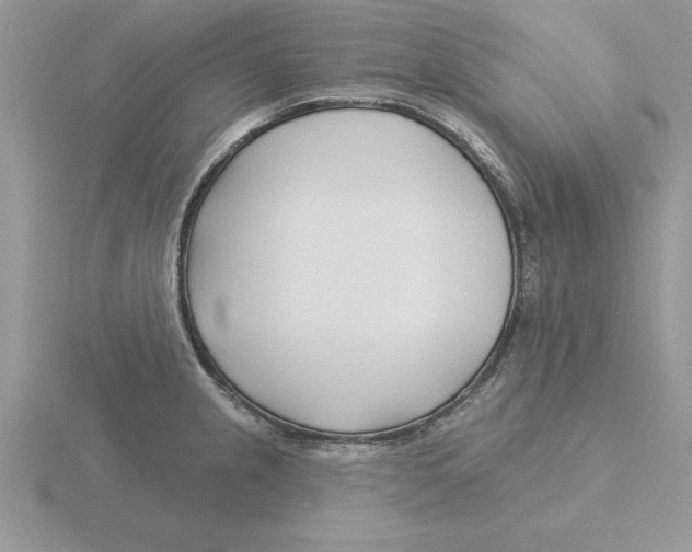 X0000115831237200912111306