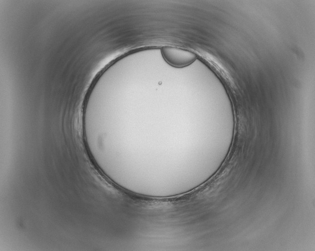 X0000115831238200912111306