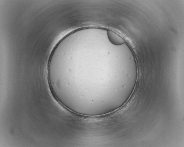 X0000115831239200912111306