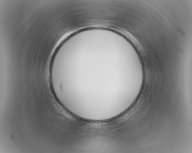 X0000115831240200912111306