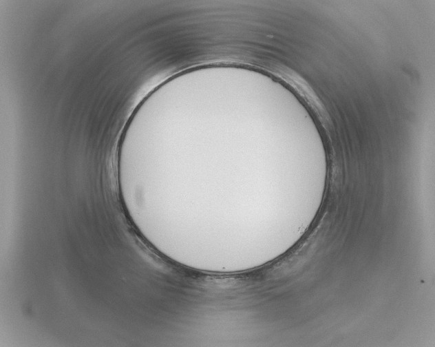 X0000115831242200912111306