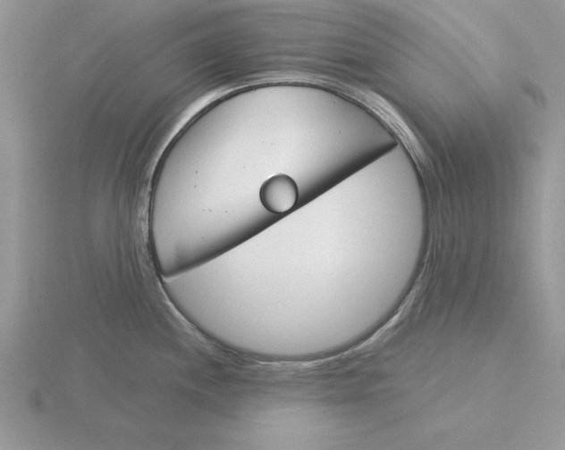 X0000115831244200912111306