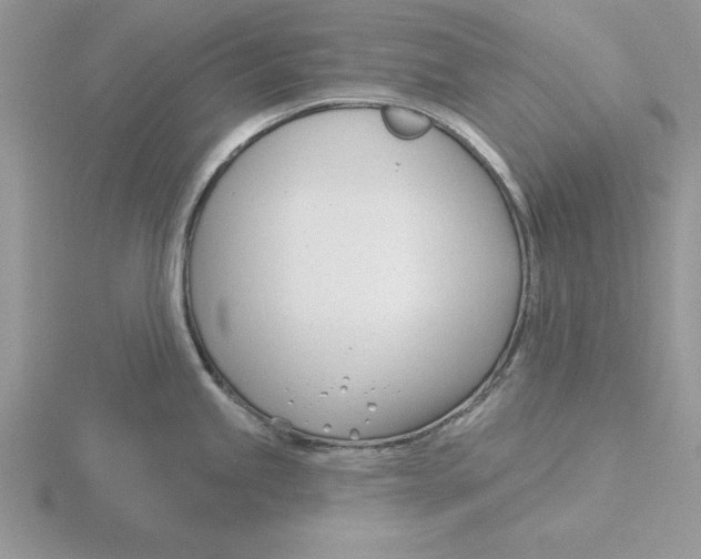 X0000115831245200912111306