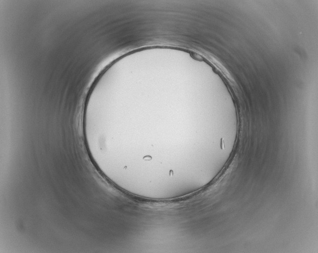 X0000115831246200912111306