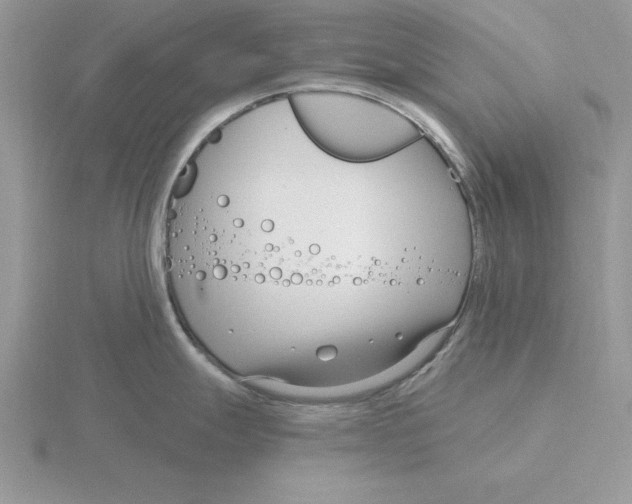 X0000115831247200912111306