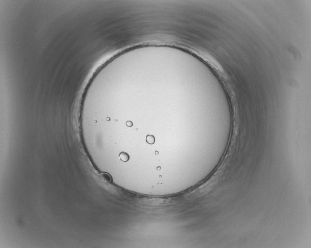 X0000115831248200912111306