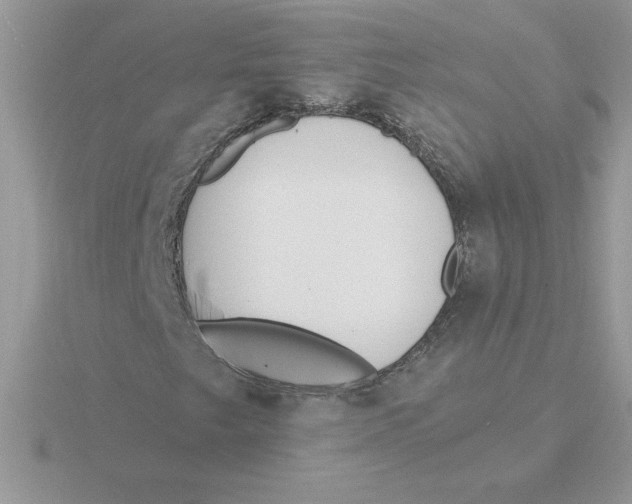 X0000115831249200912111305