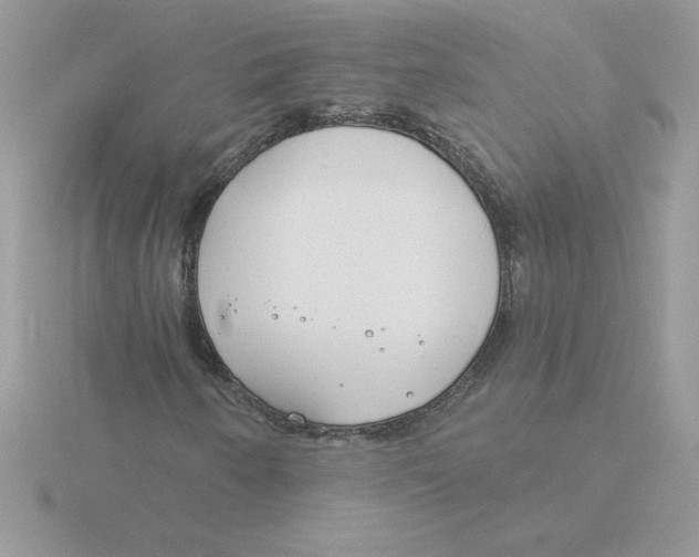 X0000115831250200912111305