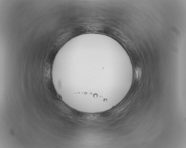 X0000115831251200912111305