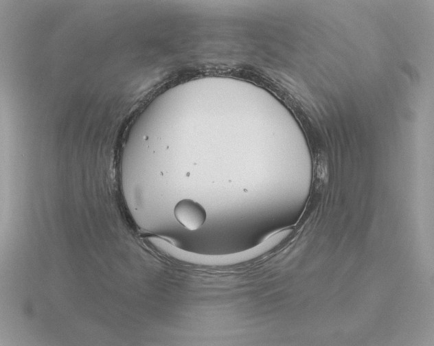 X0000115831252200912111305