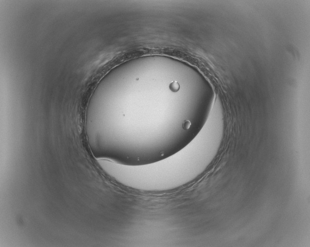 X0000115831253200912111305