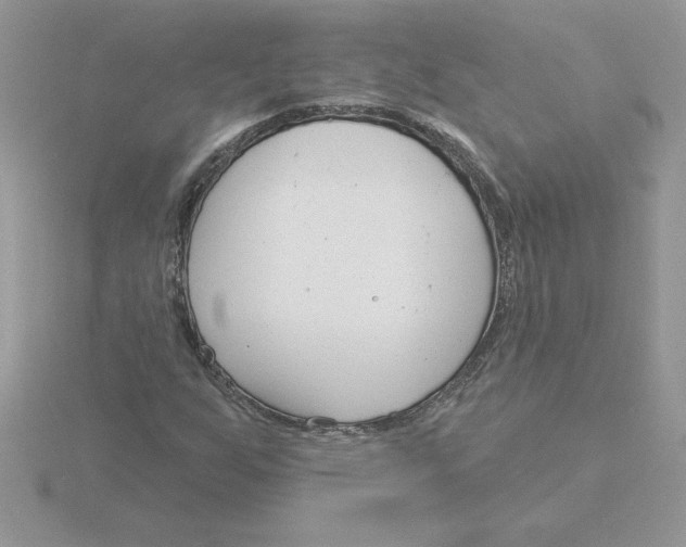 X0000115831255200912111305