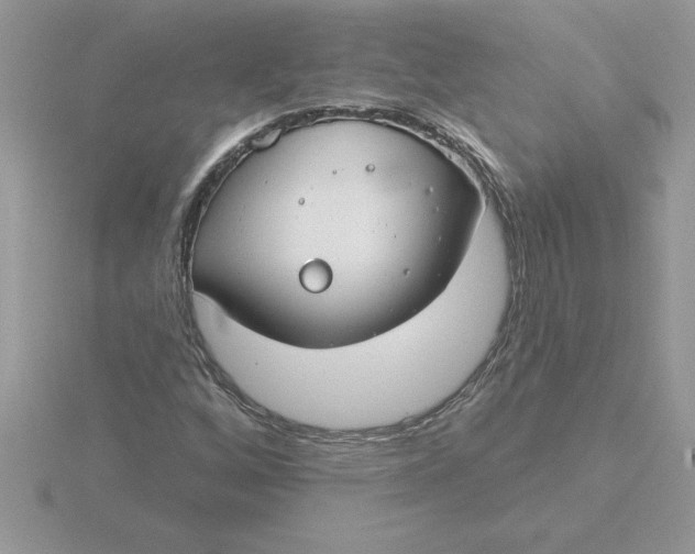 X0000115831256200912111305