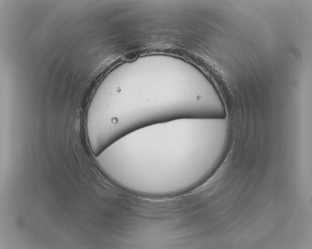 X0000115831257200912111305