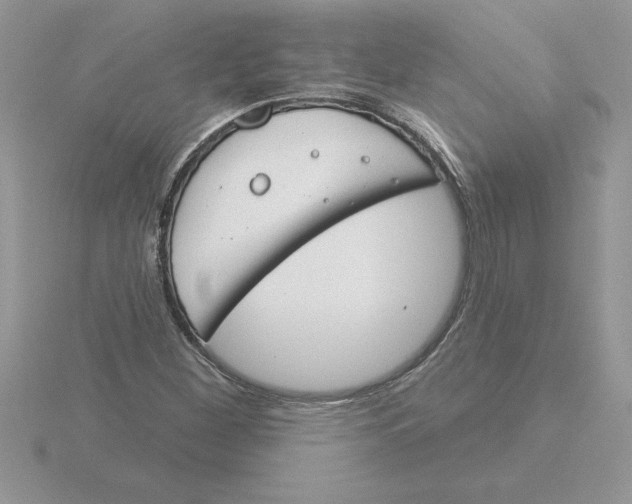 X0000115831260200912111305