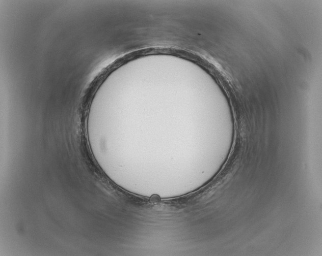 X0000115831263200912111305