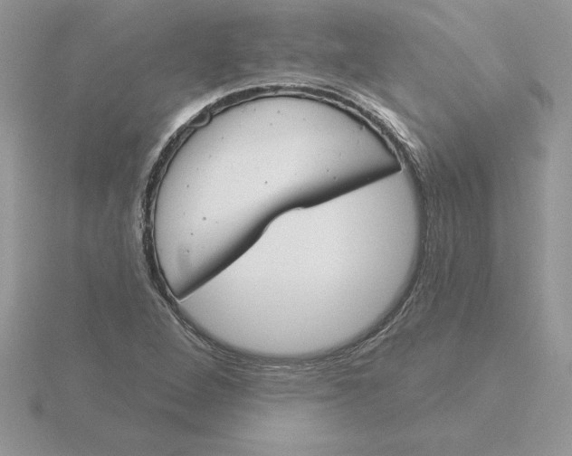 X0000115831264200912111305