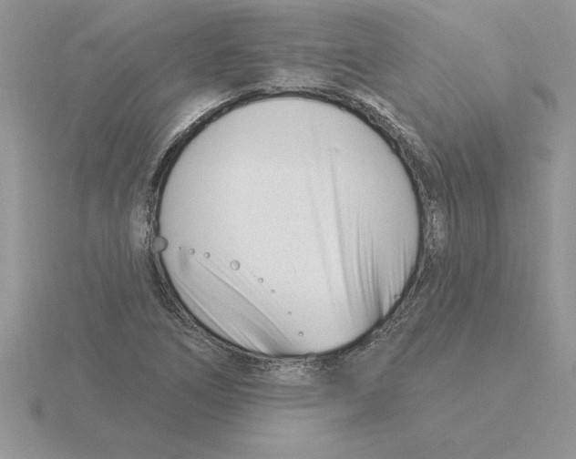 X0000115831266200912111305