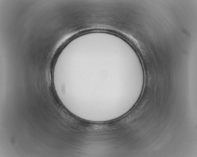 X0000115831271200912111305