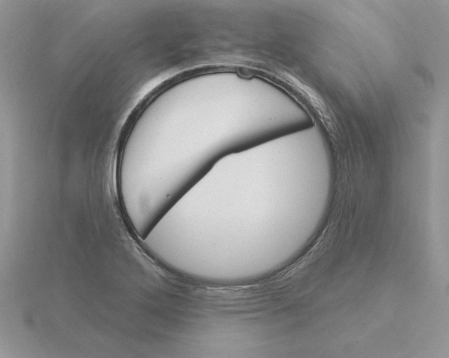 X0000115831272200912111305