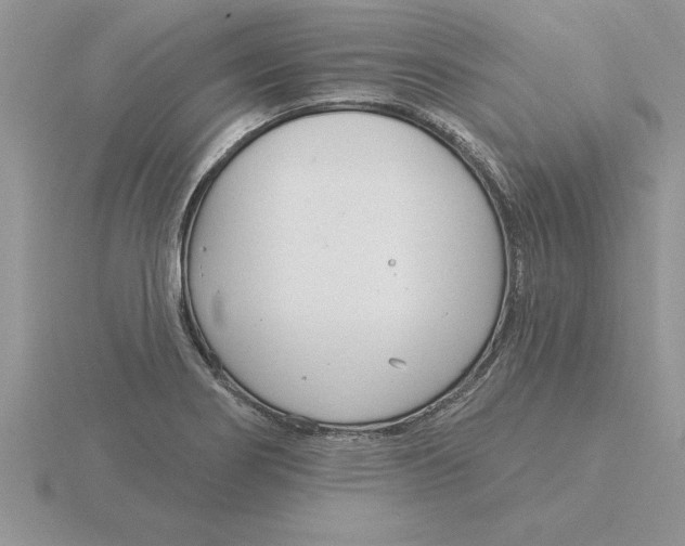 X0000115831274200912111305