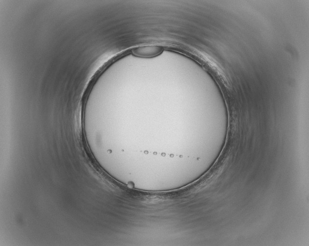 X0000115831275200912111305