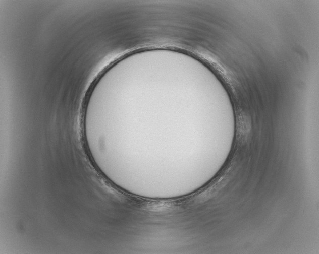 X0000115831278200912111305