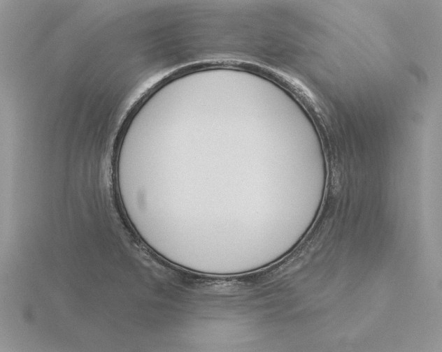 X0000115831279200912111305